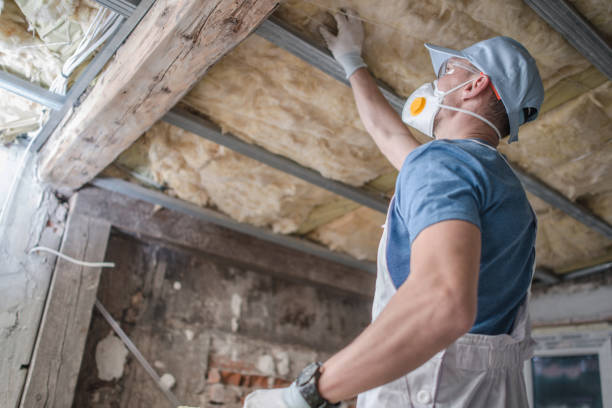 Best Crawl Space Insulation  in Bloomsburg, PA